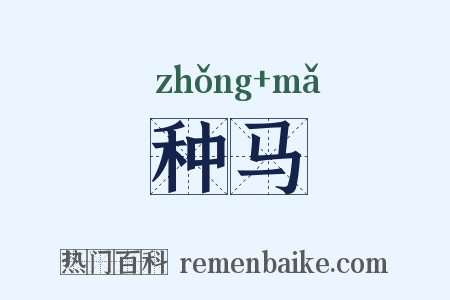 种马是什么意思的图片
